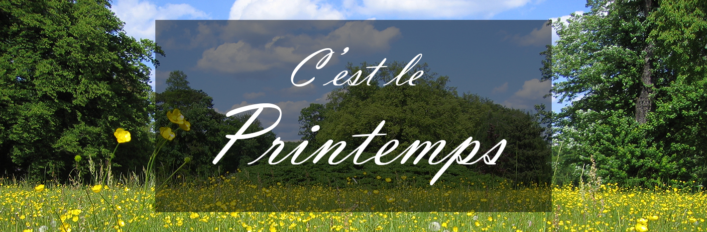 Bannière printemps 2023