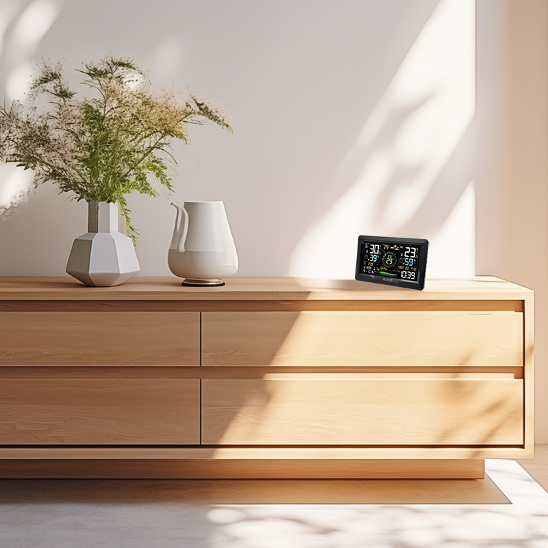 WS6262TY-BLA_2 WS6262TY-BLA_2